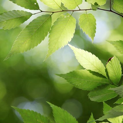 Disability Unfiltered