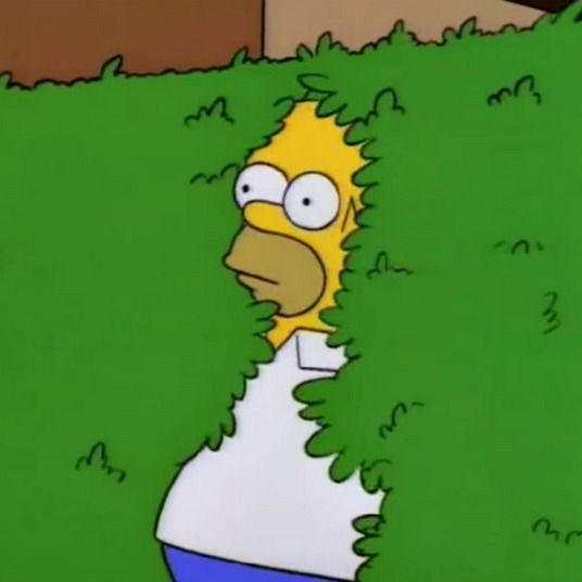 the simpsons is hiding behind some bushes