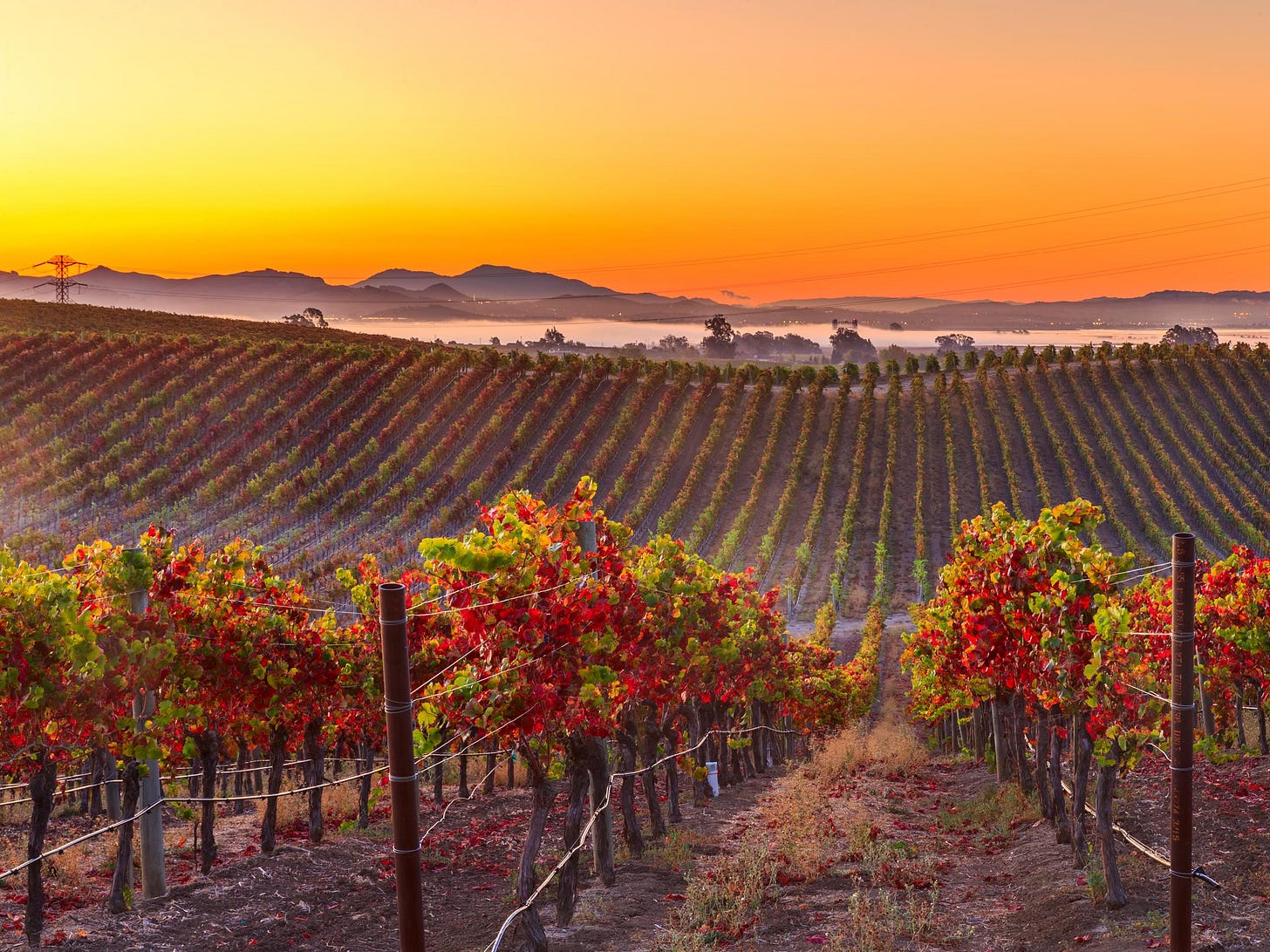 Napa Valley | SevenFifty Daily