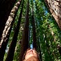 Melinda's avatar