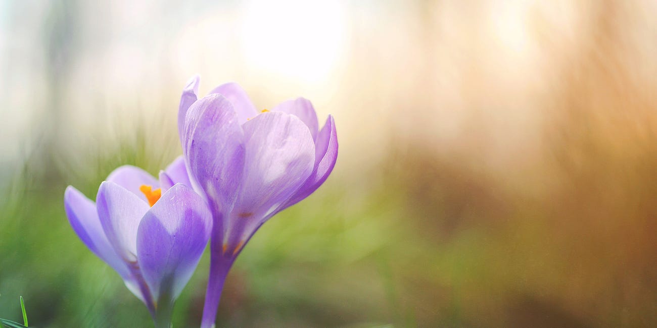 Finding Gems In The Rubble: How to Keep Listening During Upsetting Conversations