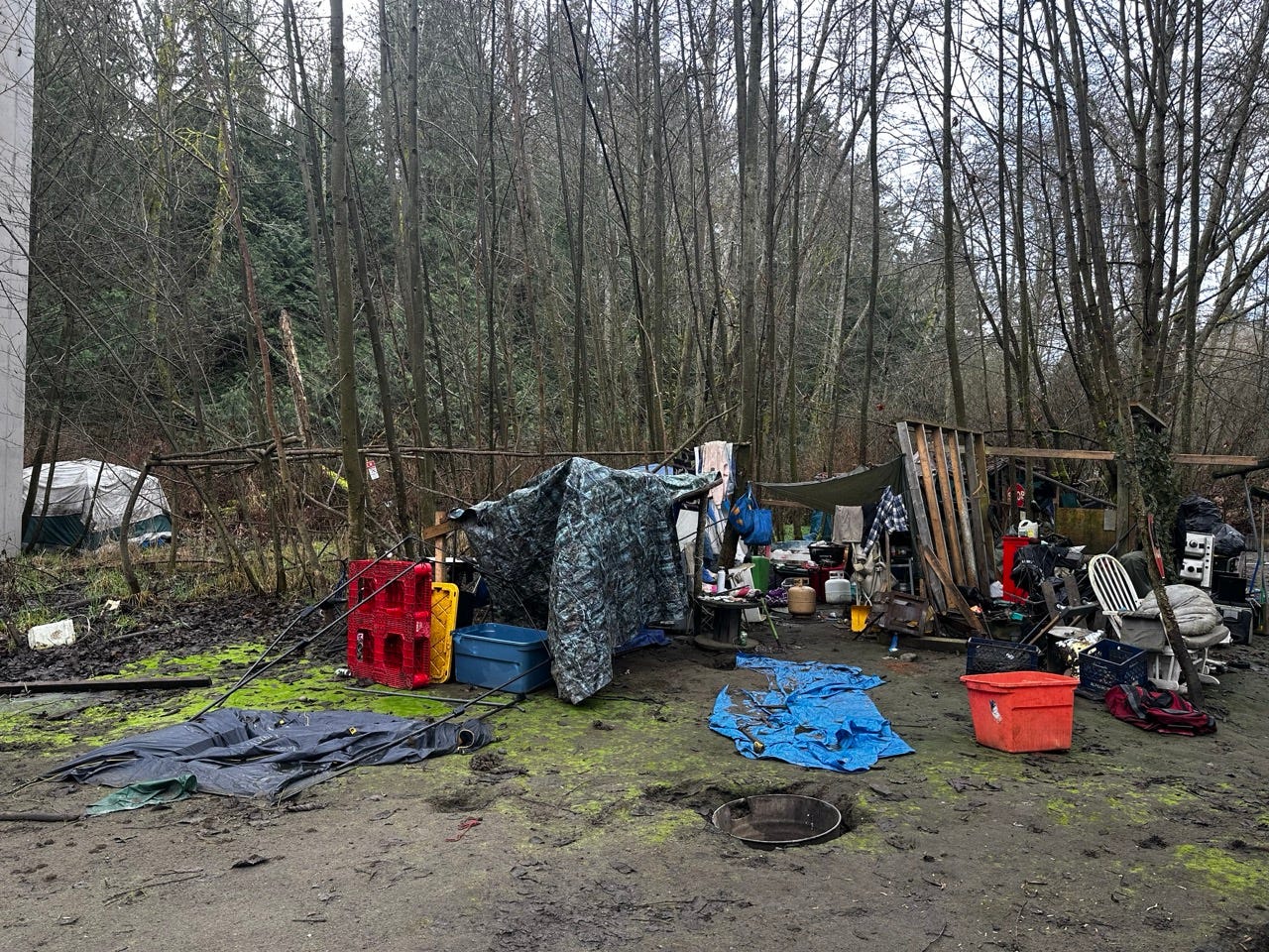 A group of objects in a forest

Description automatically generated