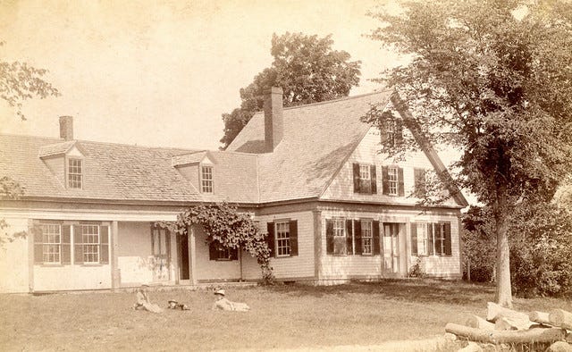 Taylor Houses