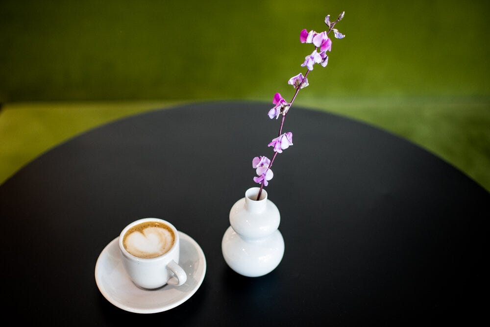 A cortado at Sheep &amp; Meadow.