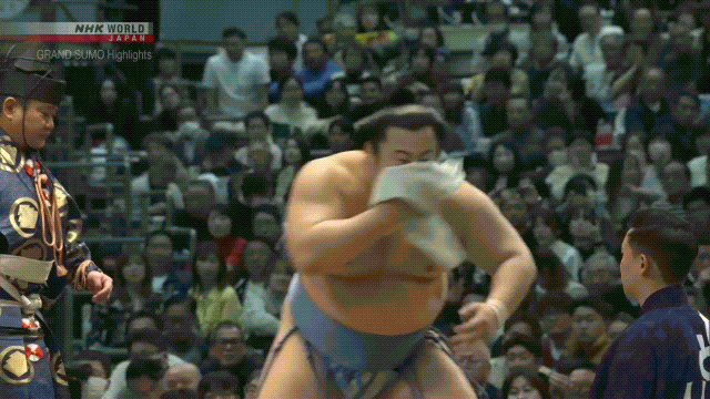 Sumo Stomp! | Tim Edwards | Substack