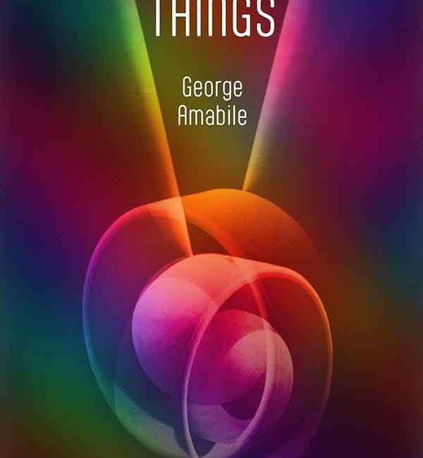 What Matters: Seeing Things by George Amabile