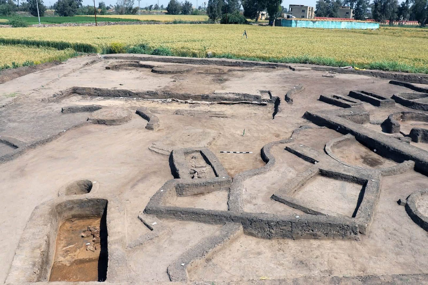 Mudbrick walls of the settlement at Kafr al-Hattaba, with the modern Delta behind. Mudbrick walls of the settlement at Kafr al-Hattaba, with the modern Delta behind.
