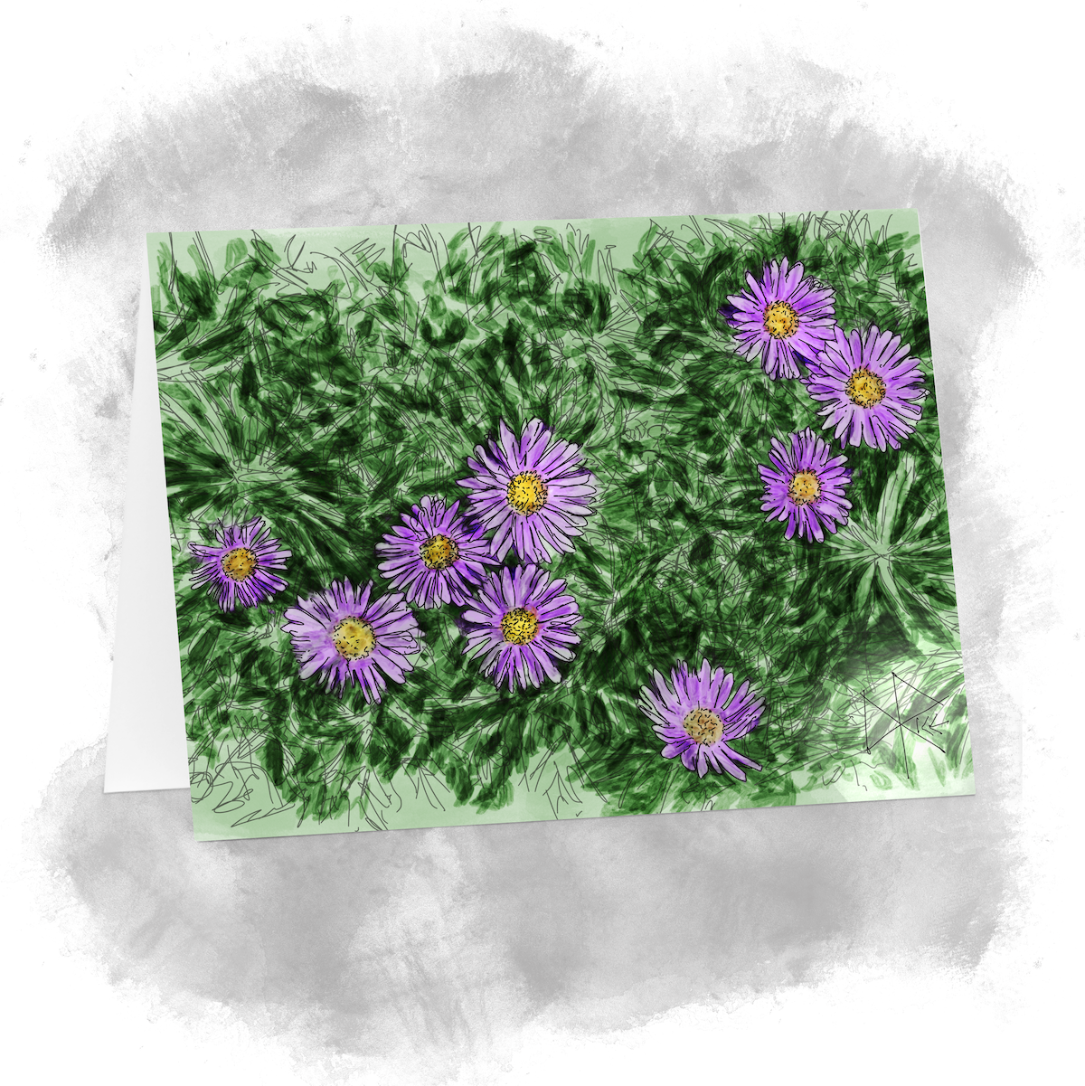 Canadanthus, commonly known as great northern aster or western bog aster, is native to most of Canada and to northern parts of the United States. Canadanthus modestus is an herbaceous perennial spreading by means of underground rhizomes, thus producing large colonies. Sketch art by Don Rice. Canadanthus, commonly known as great northern aster or western bog aster, is native to most of Canada and to northern parts of the United States. Canadanthus modestus is an herbaceous perennial spreading by means of underground rhizomes, thus producing large colonies. Sketch art by Don Rice.