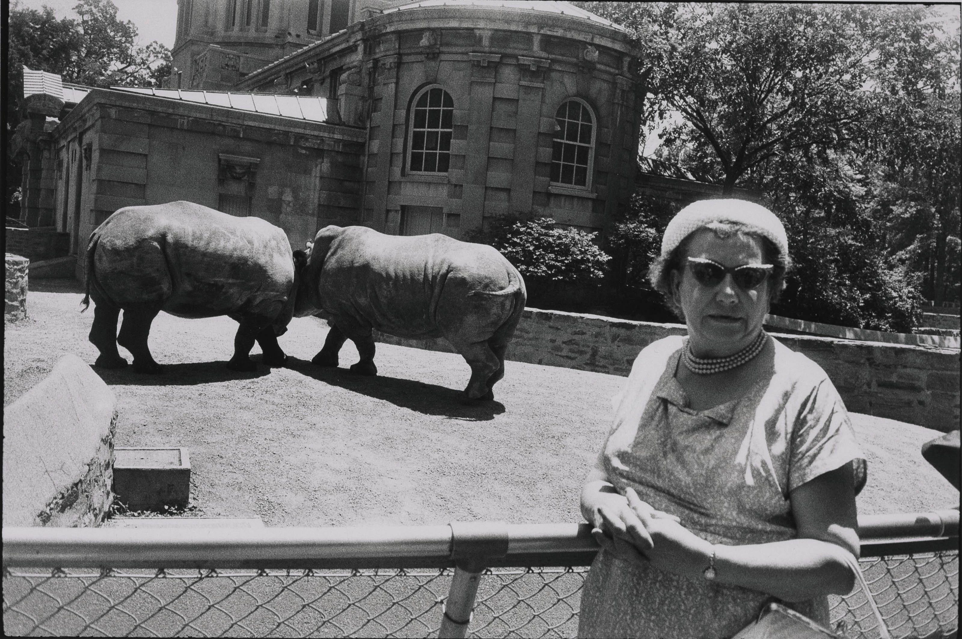 Photo Edition: Garry Winogrand's Zoo - by Bailey Richardson