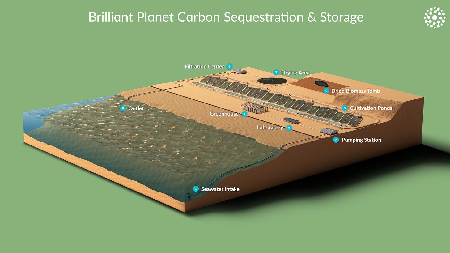 Independent assessment of the Brilliant Planet microalgae carbon capture  facility in Morocco - Decerna