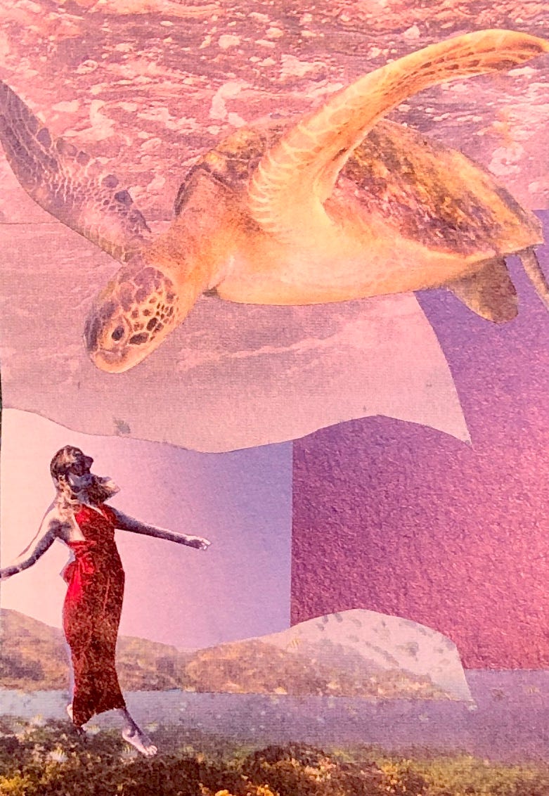 Le fond est constitué de plusieurs morceaux de photos de fonds marins. Une tortue de mer regardant vers le bas est collée dans la partie haute de l'image. Une femme en robe de soirée avec une masque de plongée est collée dans la partie basse de l'image. Les proportions des photos font que la tortue semble géante ou la femme minuscule.