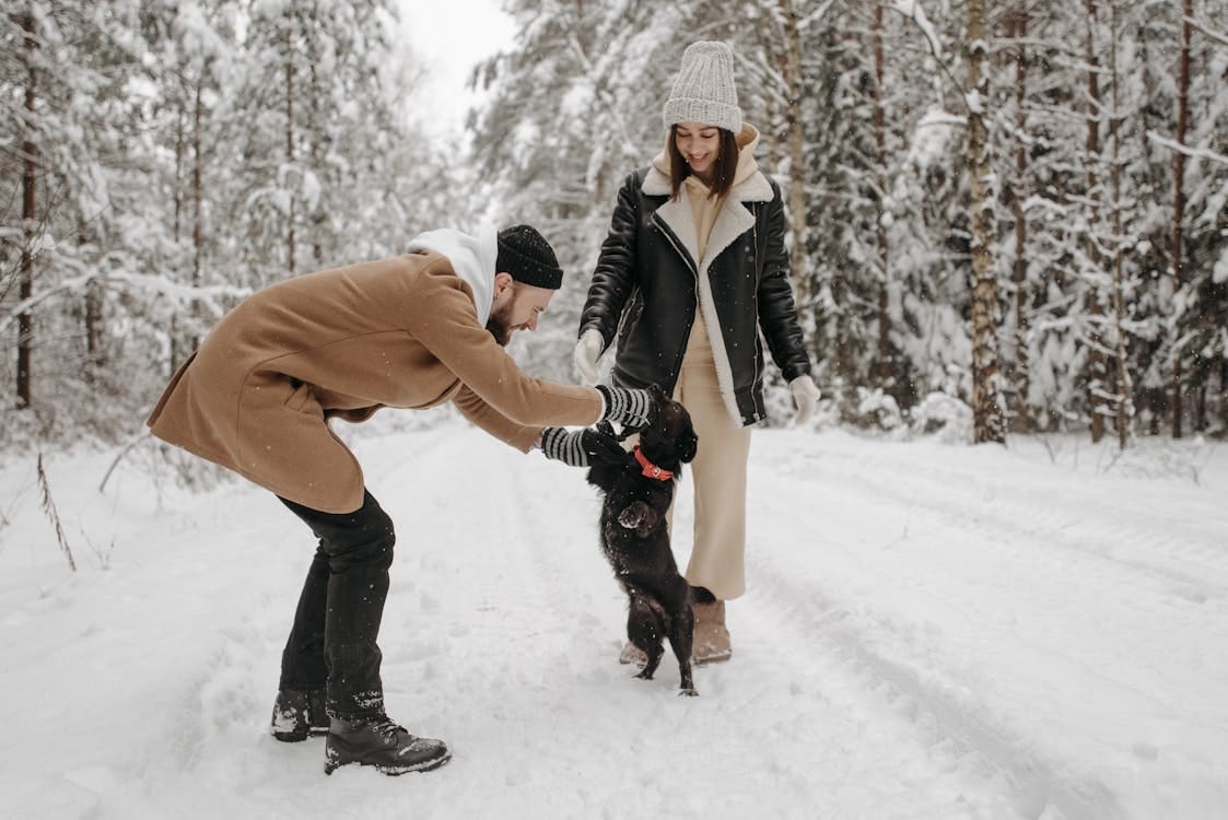 Free A couple enjoys a playful moment with their dog in a snow-covered forest in wintertime. Stock Photo