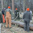 Department of Corrections deploys inmates to Custer State Park to assist with storm recovery