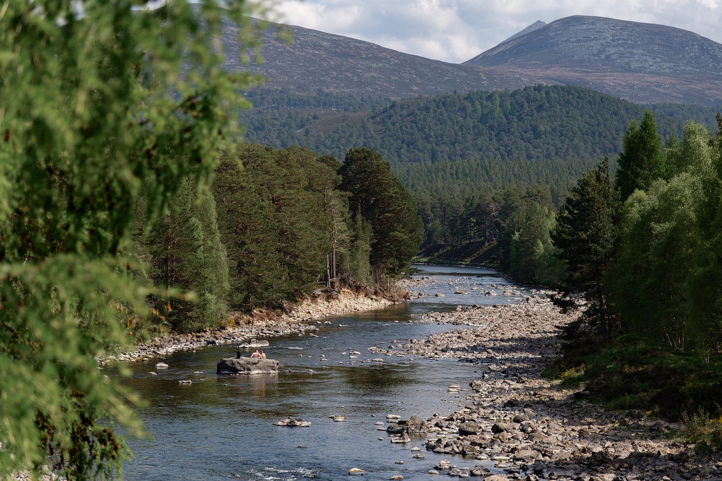 A wide landscape showing the River Dee winding through a dense green forest, with hills and blue skies in the background. In the middle of the river, people sit on large rocks with a dog nearby, all enjoying the warmth of a sunny summer day. The scene feels open, peaceful, and joyful.