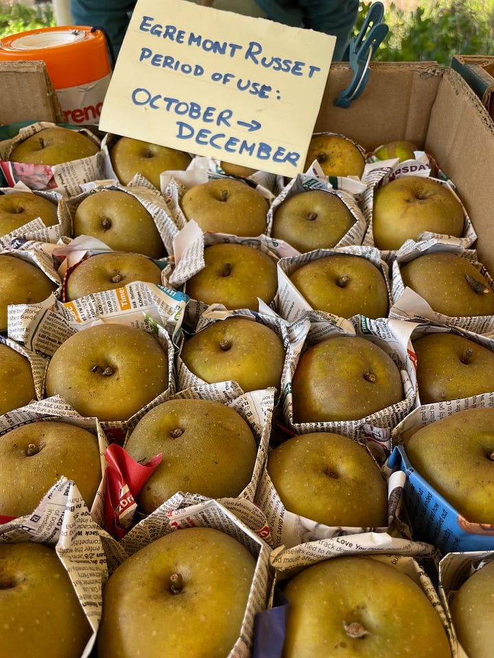 apple press and selection of russet apples for sale