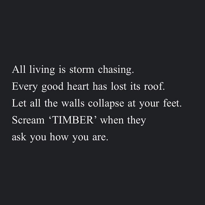 Image 1: I decided I was too soft to last, but then I decided to be softer. Image 2: Sometimes the most healing thing we can do is remind ourselves over and over and over— Other people feel this too. Image 3: All living is storm chasing. Every good heart has lost its roof. Let all the walls collapse at your feet. Scream 'TIMBER' when they ask you how you are. Image 4: Brave is a hand-me-down suit from Terrified-As-Hell.