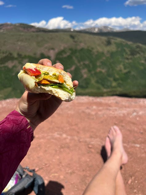 sandwich on a mountaintop, a man and a dog at dusk on a summit, columbine flowers