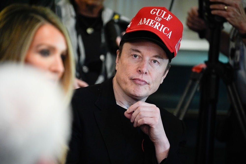 Musk failing to properly wear a hat Musk failing to properly wear a hat