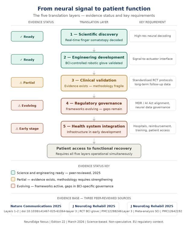 NeuroEdge Edition 22 Translation Stack NeuroEdge Edition 22 Translation Stack