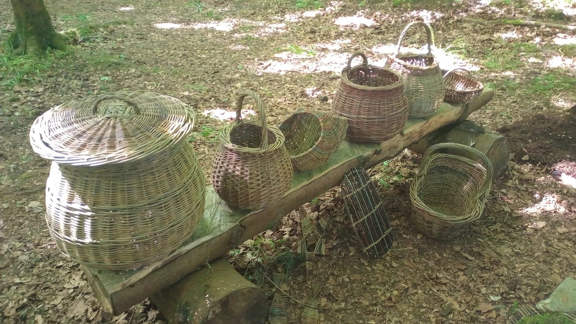 An array of Rosemary's baskets lined up on the bench, from a large laundry basket to a shopper, to a small trug, to a willow platter. Their earthy tones blend with the colours of the forest floor and the wooden plank on which they sit.