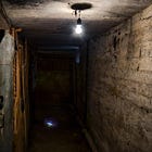 The Basement Does Not Leave You