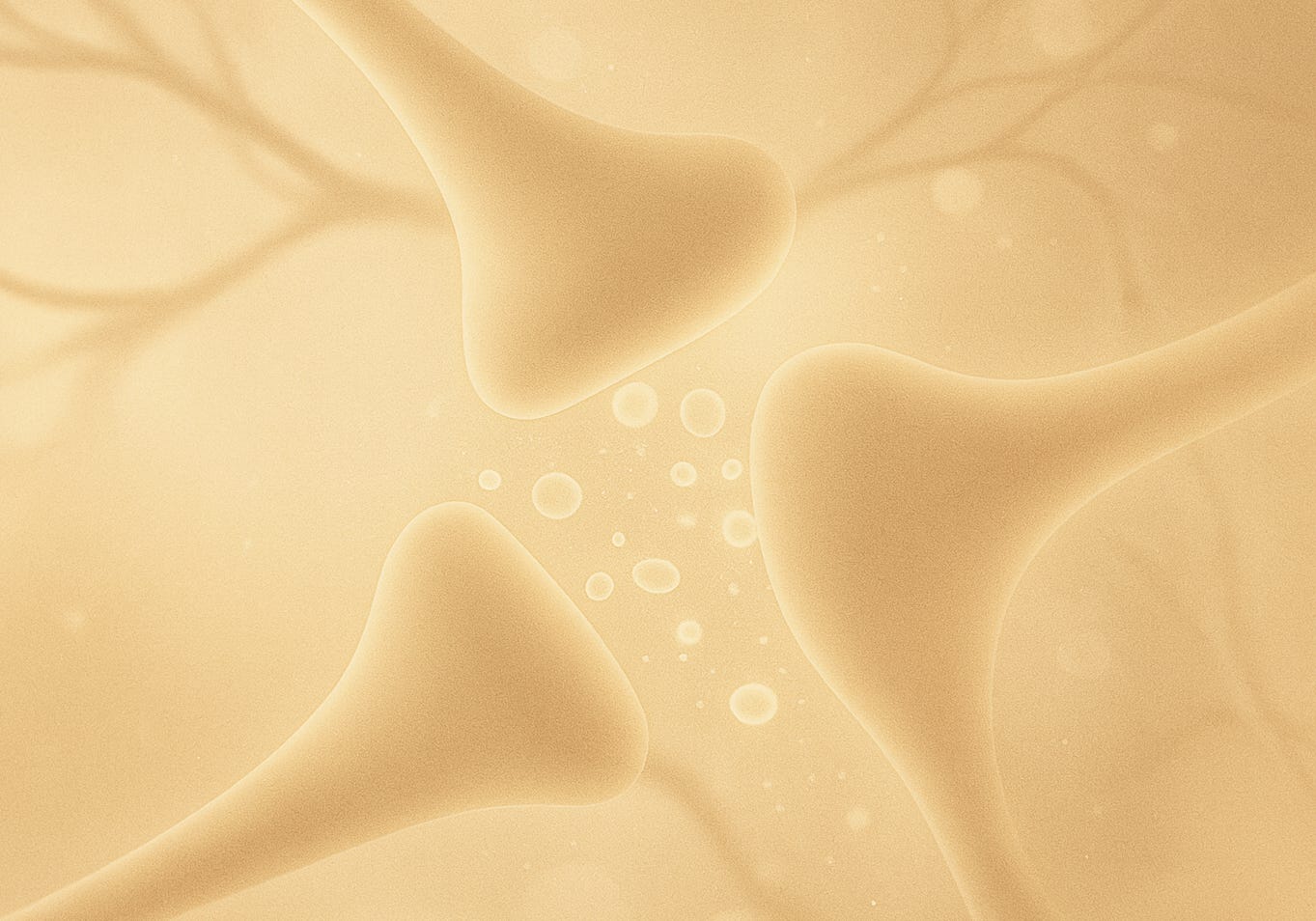 notion image