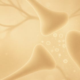 Dopamine is not what you think