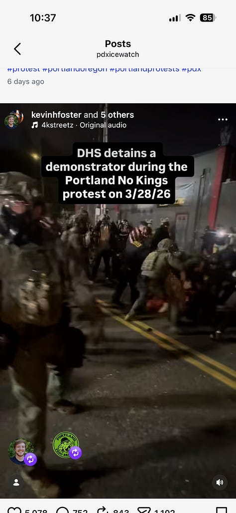 9 screen grabs from video showing ICE agents pursuing, hitting, and detaining protester in pink frog costume. The last three images show agent brandishing gun at bystanders.