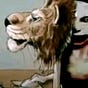 لميس's avatar
