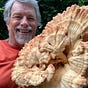 Frank Hyman's avatar