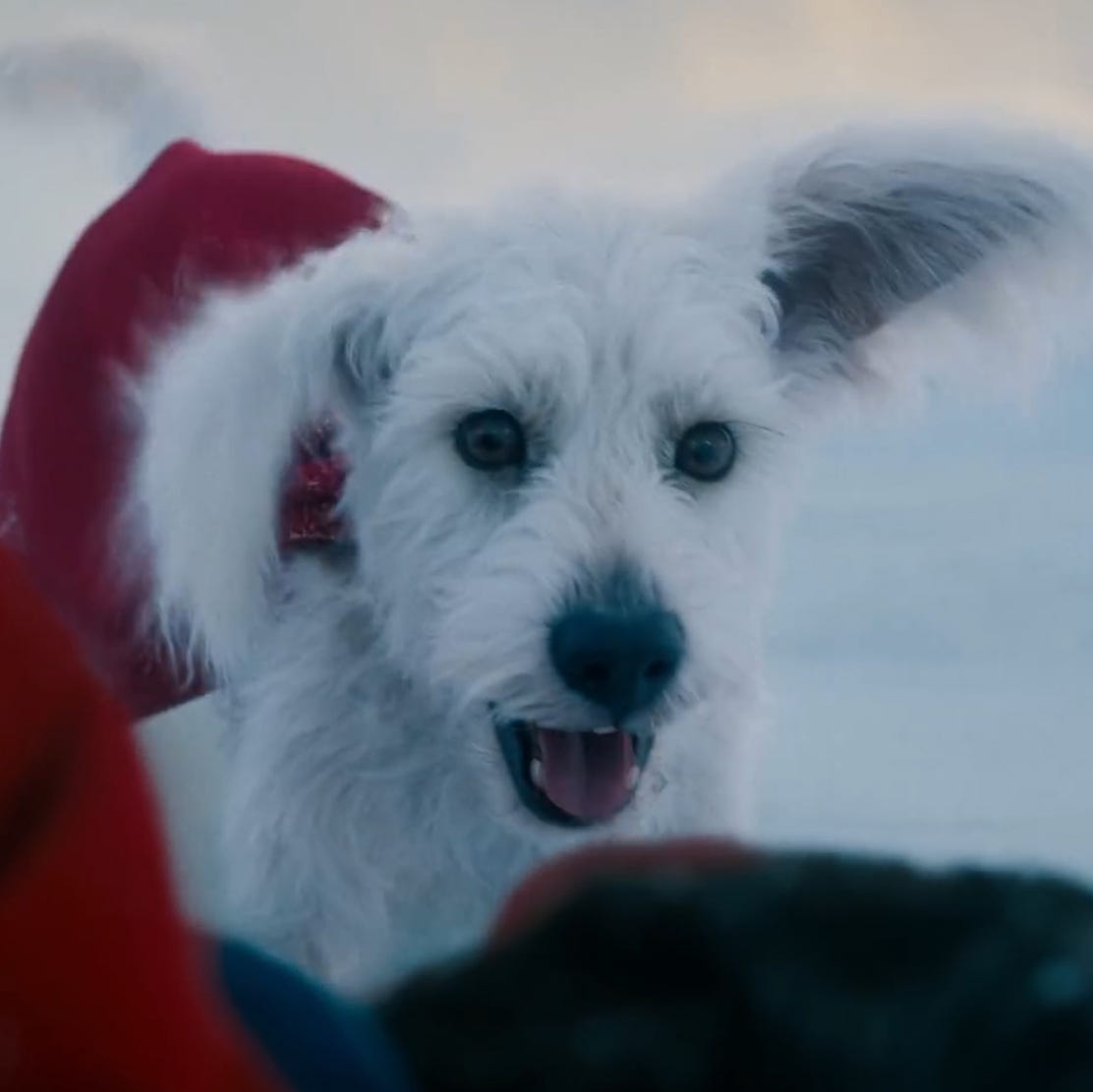 Superman cut a controversial dog scene after "really bad" screening response