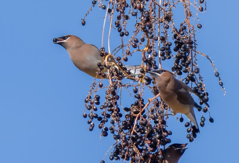 20230118-misc-47-Edit 4.jpg