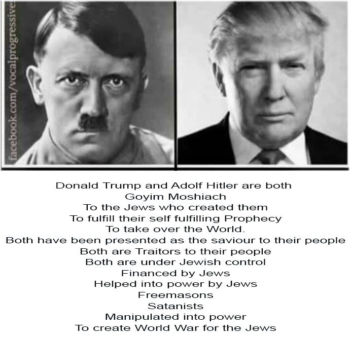 Adolf Trump Donald Hitler And The Nazi Jews F3744858 644f 4aee 9b96 690x665 