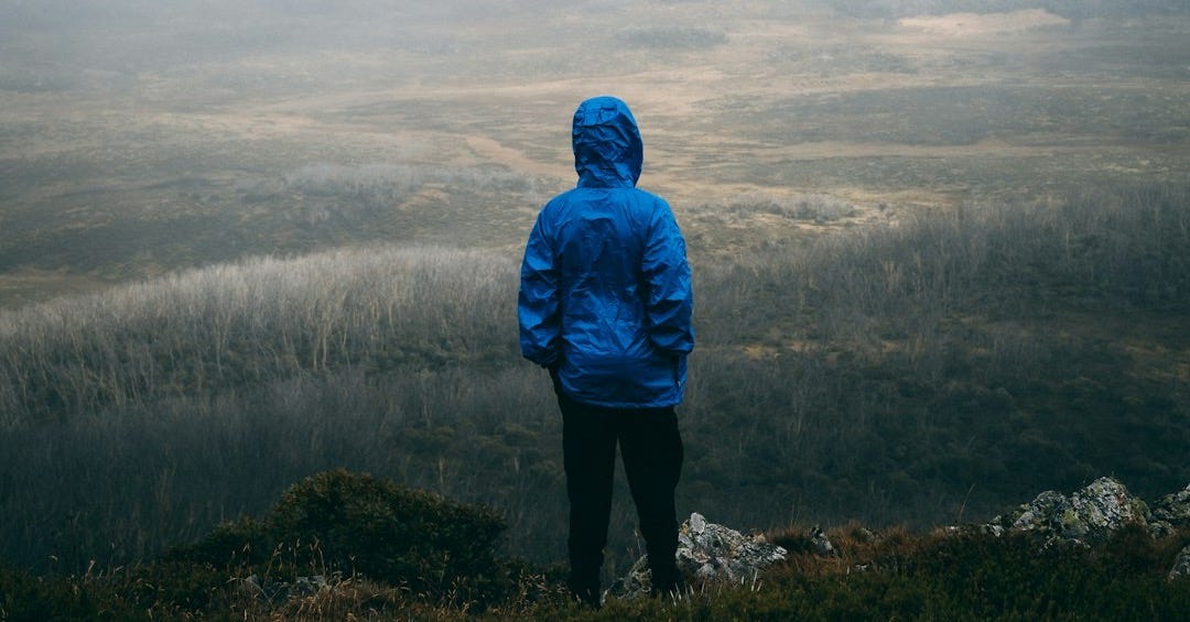 a person in a blue jacket standing on top of a hill