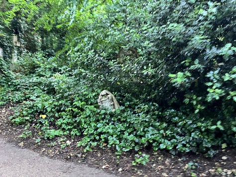 Gravestones upended by mass overgrowth