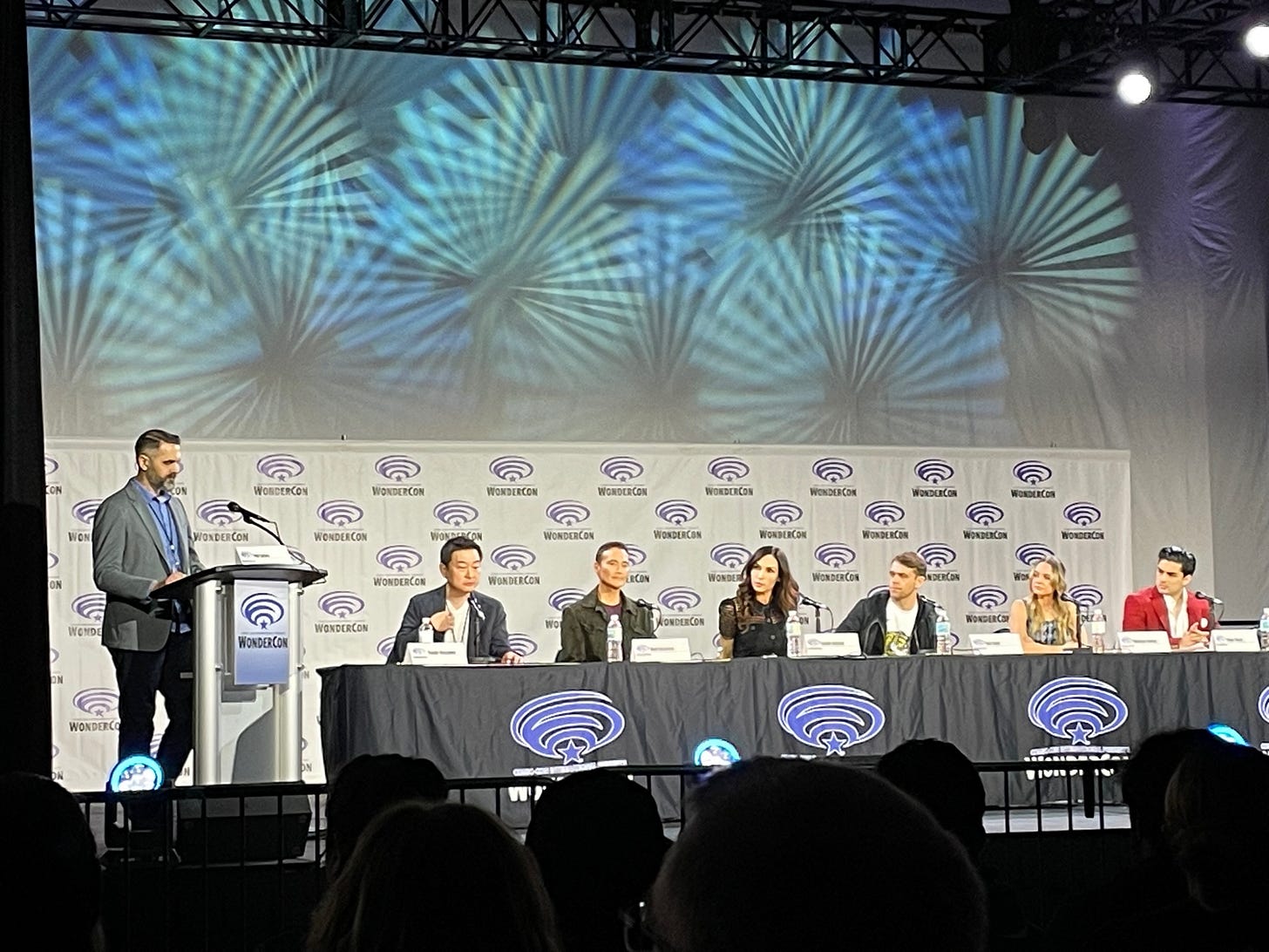 Panel for “Knights of the Zodiac”