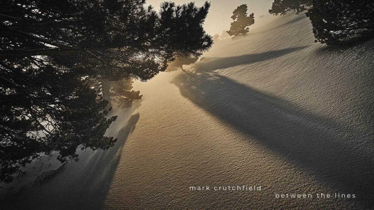 Golden light filters through snow-covered pine trees at sunrise, casting long shadows across a quiet winter landscape. Image by Mark Crutchfield from the “Between the Lines” series.