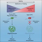 Therapeutics for Multiple Sclerosis and Peripheral Neuropathy