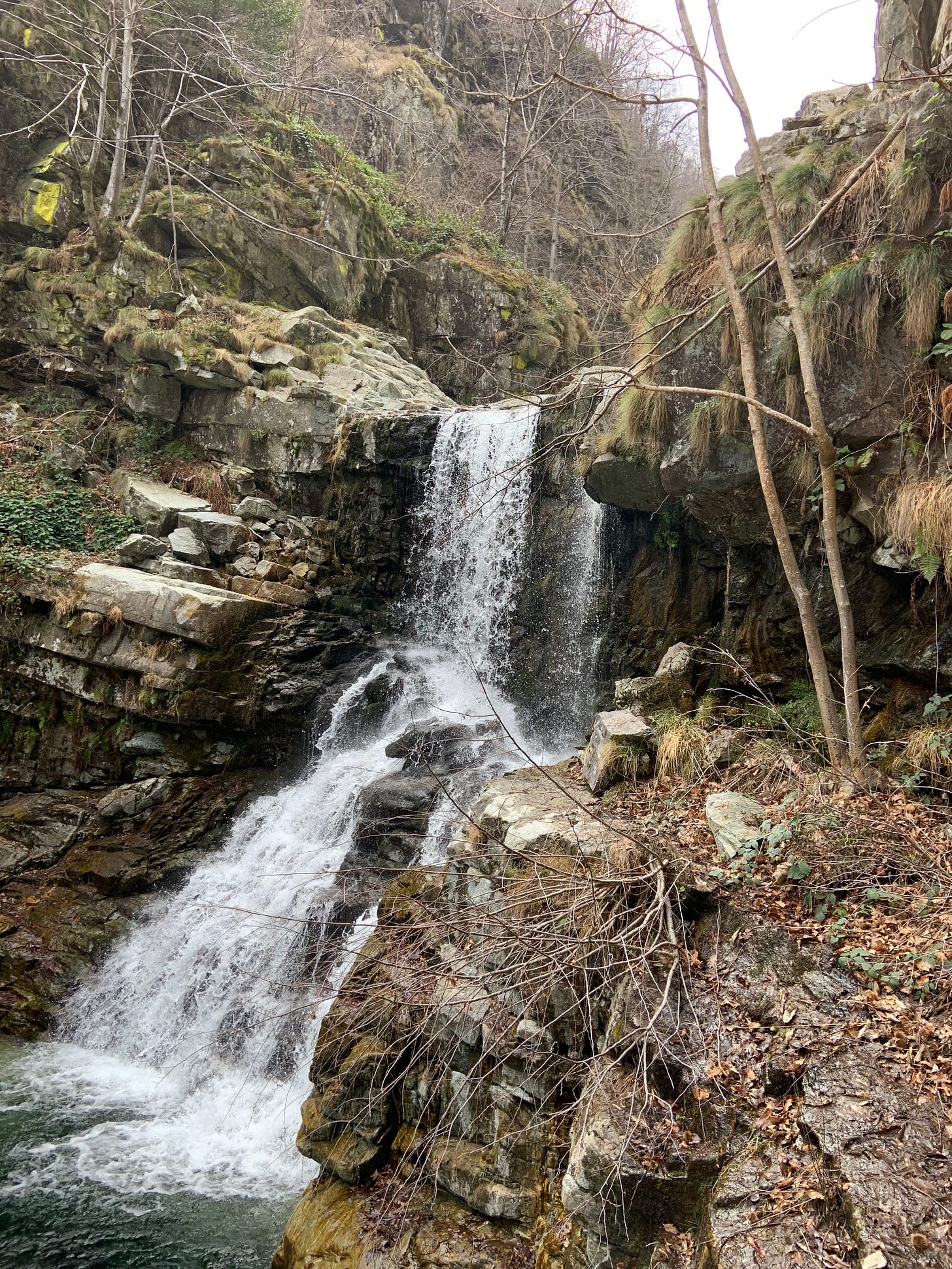 Nature is the ultimate spa, offering tranquility, beauty, and peace that can't be found elsewhere. Take a deep breath, feel the sun on your skin, and let nature work its magic on you.