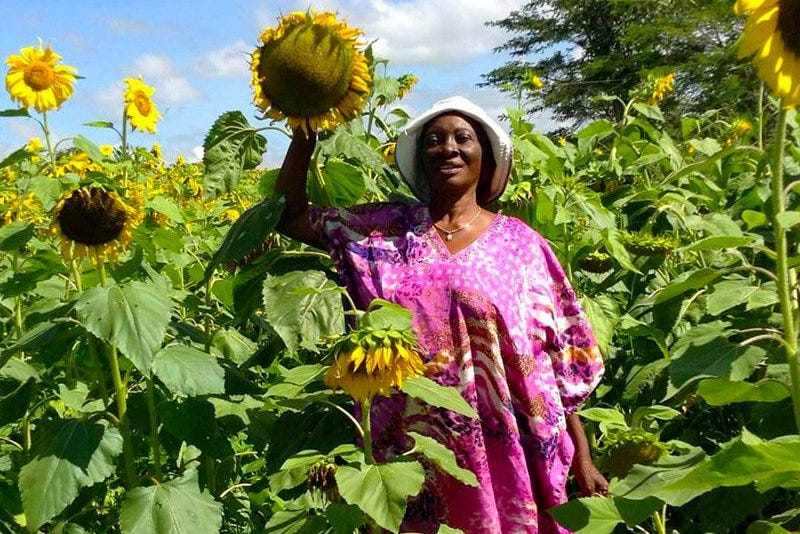 Ange Kanonga in a sunflower farm in Lubumbashi, Democratic Republic of Congo. 
