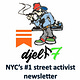 djelf7 newsletter