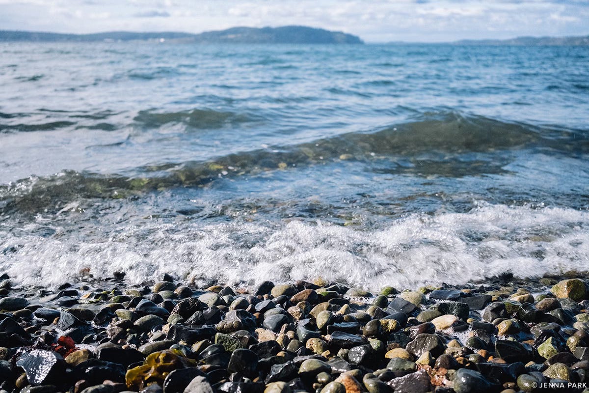 Pebbled beach on Puget Sound Pebbled beach on Puget Sound