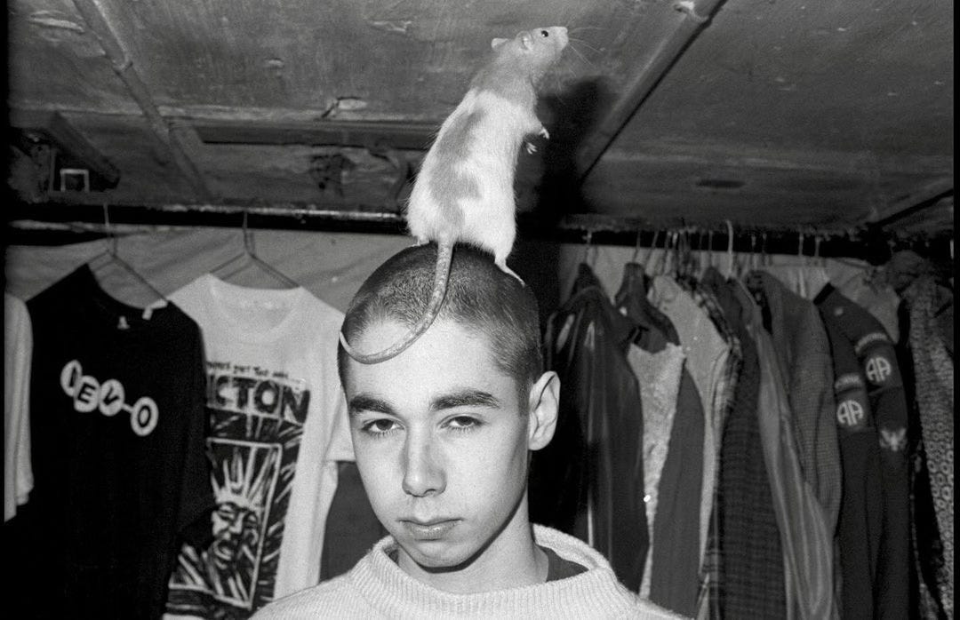 True Trans Soul Rebel - by Norman Brannon - Anti-Matter