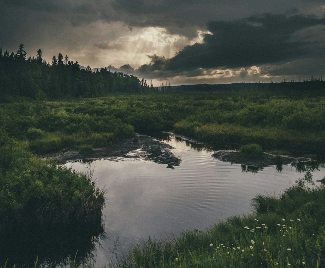 a large body of water surrounded by a lush green field