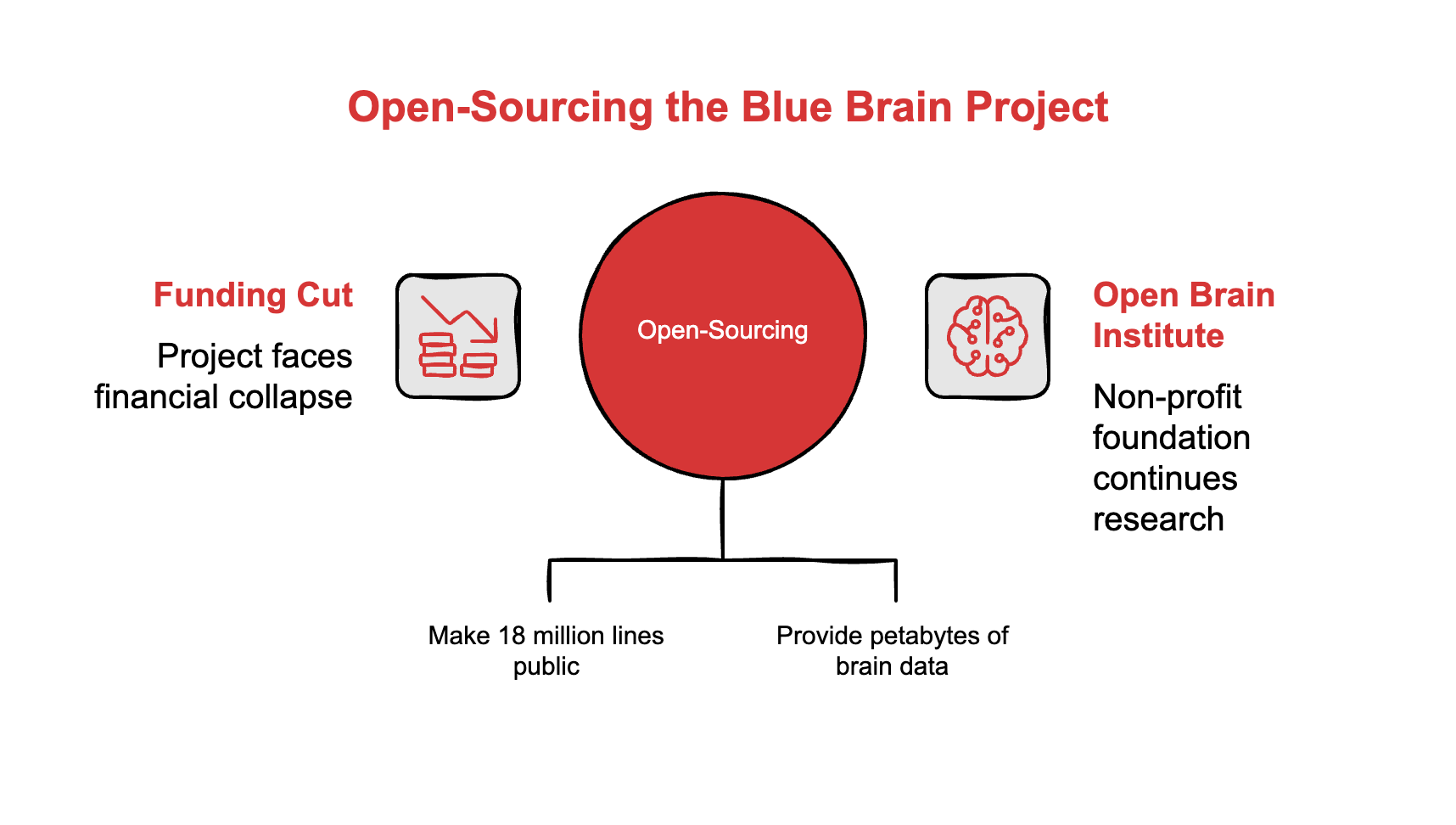 Scientists Spent $300 Million Simulating Brains. They Still Can’t ...