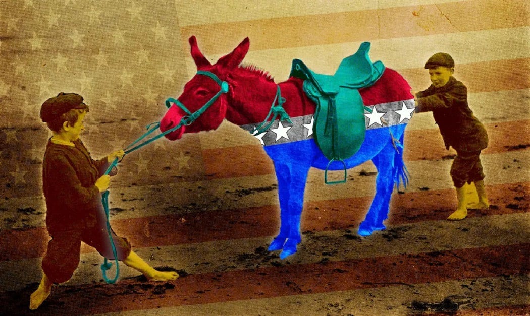 Dum-Dum Democrats about to shoot themselves in the foot
