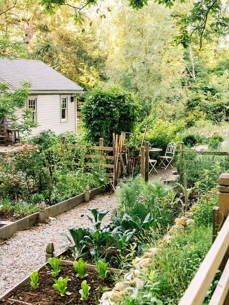 This may contain: an outdoor garden with lots of plants and flowers in the foreground, next to a house