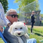 Feature: The Beauty of the Fields