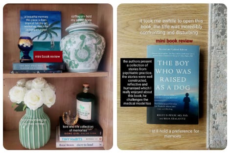 Research Diary Prompts