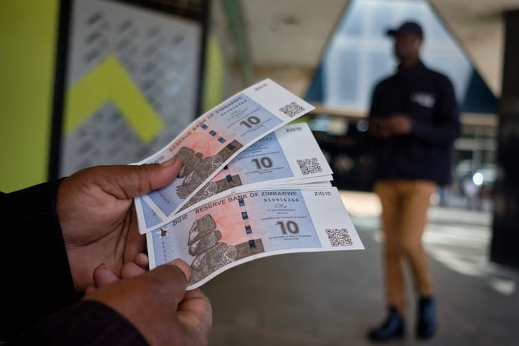 A man displays a wad of crisp $10 ZiG, short for Zimbabwe Gold, notes outside a bank in Harare.